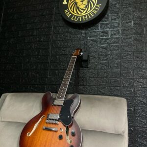 Guitarra EART E-335 Semi acústica HH
